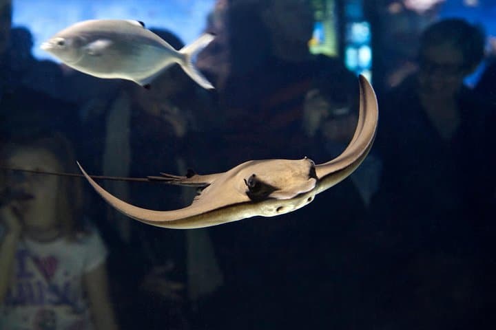 Aquarium de Barcelona