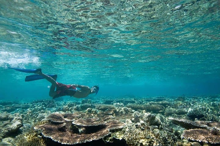 Snorkeling