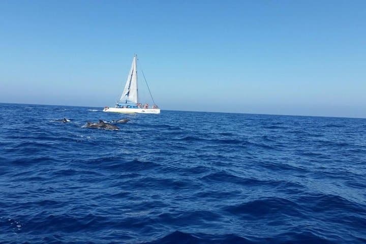 The catamaran