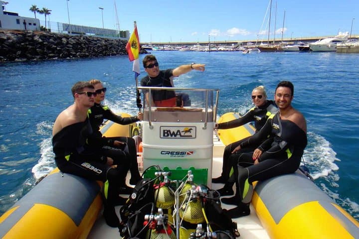 Diving for beginners