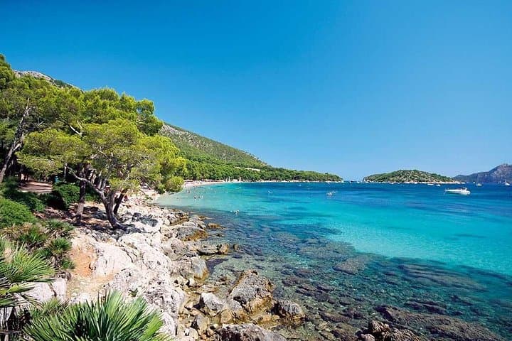 Visit Formentor Beach by Catamaran