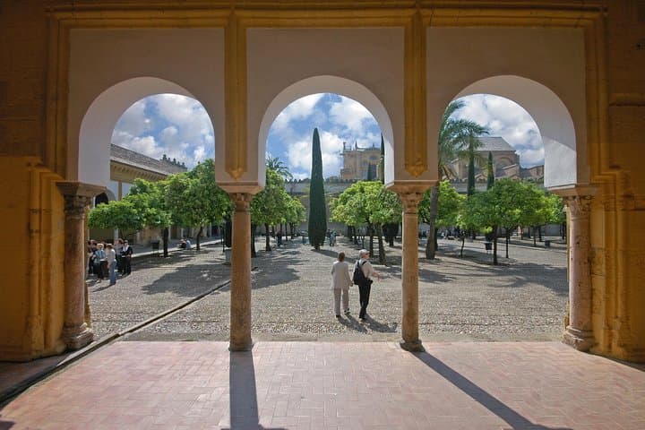 Patio Naranjos