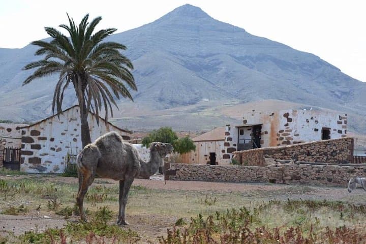 Fuerteventura