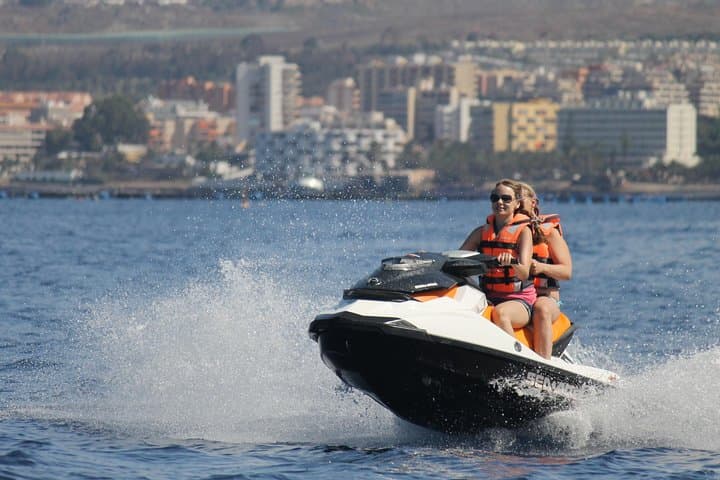 WATCH WHALES AND DOLPHINS