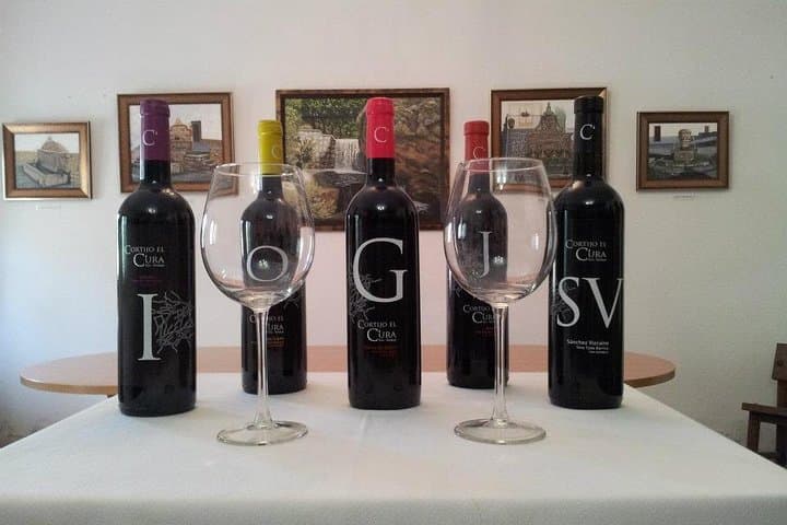 Cortijo El Cura Wines