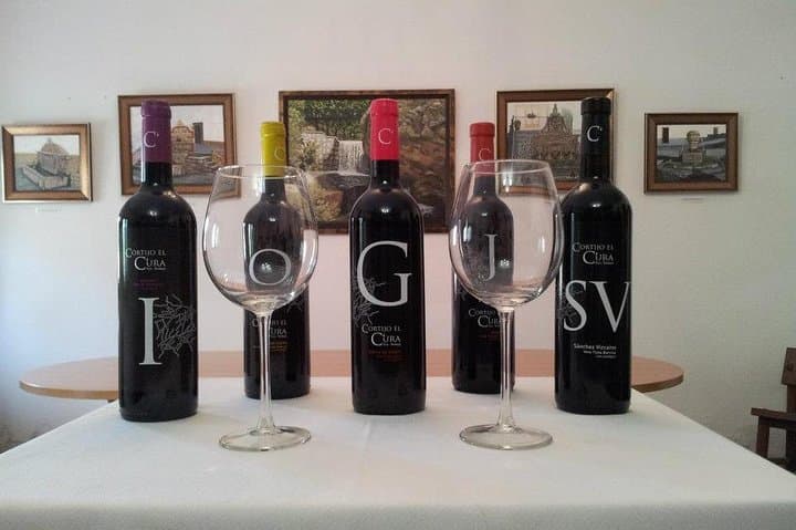 Cortijo El Cura Wines