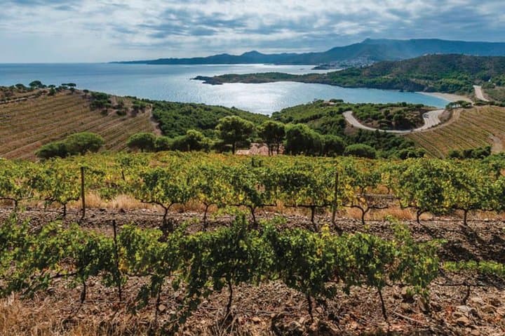 Empordà Vineyards