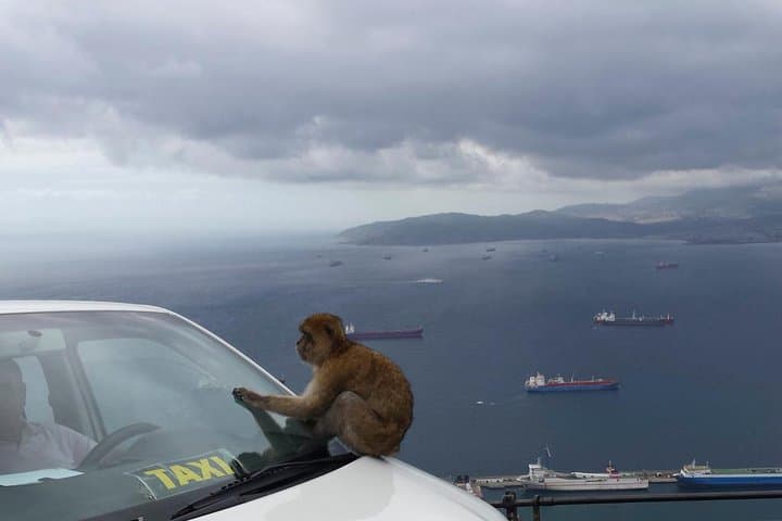 Aphttps://media-cdn.tripadvisor.com/media/attractions-splice-spp-720x480/09/a5/2a/aa.jpges and taxi drivers