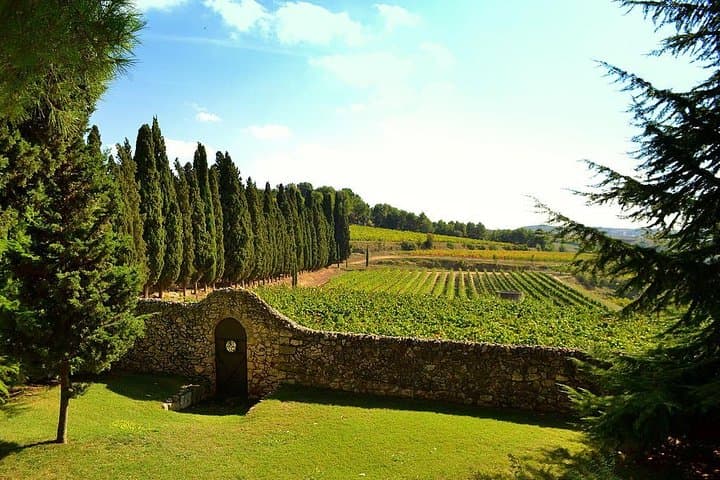 Penedes
