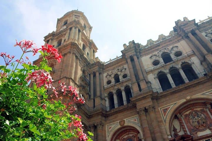 malaga catedral