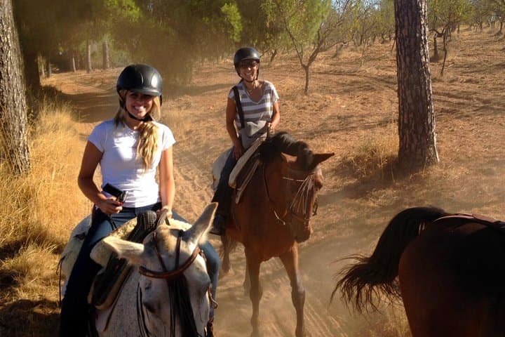 Riding Andalusian horses!