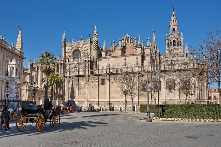 The Cathedral