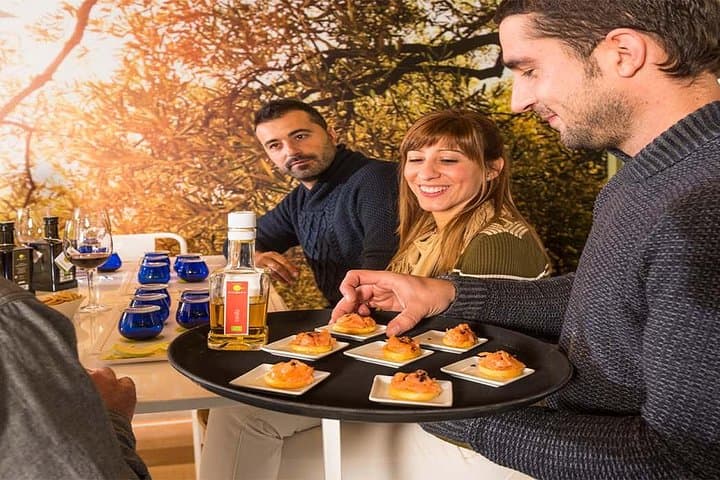 Half Day Private Wine & Oil Tasting Tour near Barcelona with hotel pick up