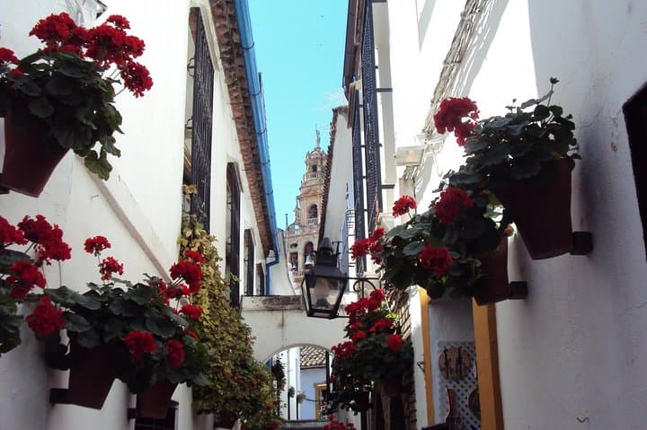Flowers Street Córdoba