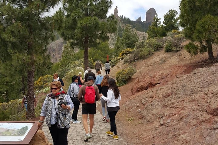 Full Day to Bandama Volcano, Center and High Peaks of Gran Canaria & Roque Nublo