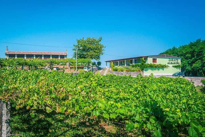 Zarate Albariño