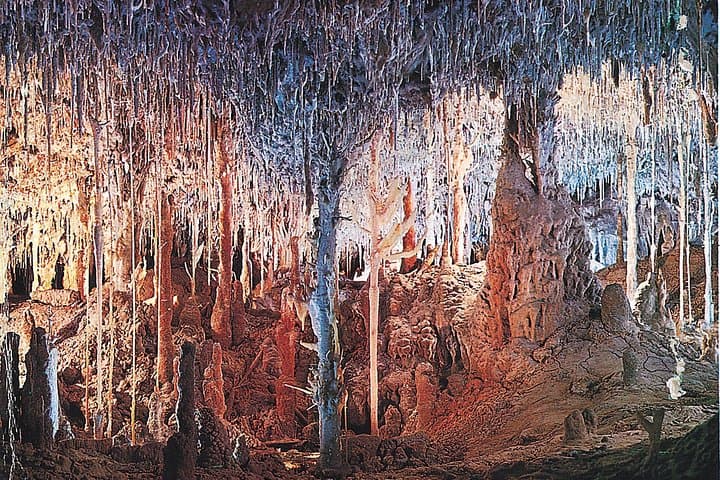 Palma de Mallorca Half-Day to Caves of Hams, Blue Cave and film