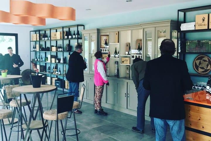 Ronda Private Wine Tour and Tapas from Marbella
