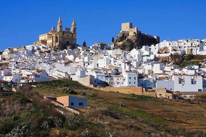 White Villages: Guided Day Trip from Seville