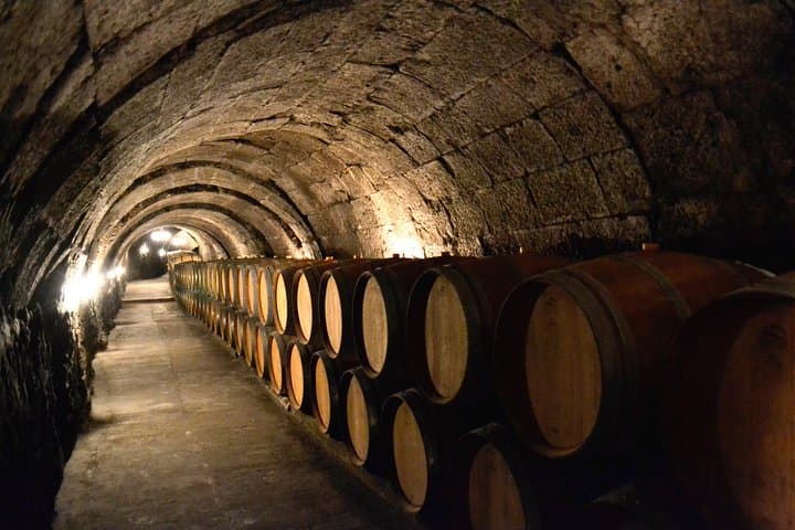 Winery visit during the tour