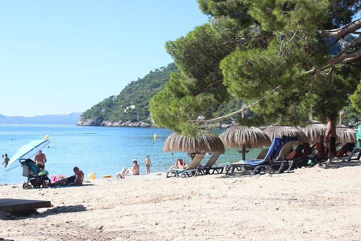 Mallorca: Scenic Formentor Tour by Bus & Boat