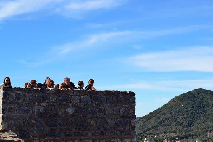 From Seville: Pig Farm private day tour and old villages visit