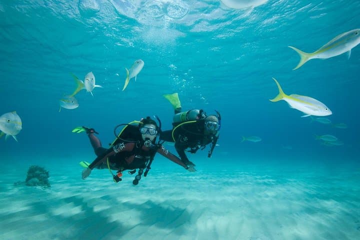 2 Day PADI Scuba Diver Course in Puerto Rico, Gran Canaria