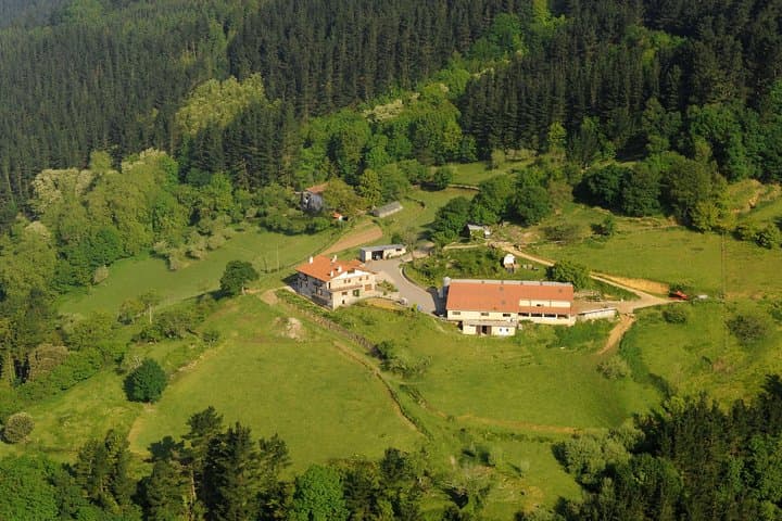 Idiazabal cheese tour from San Sebastian