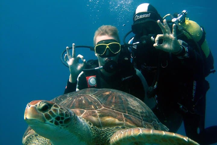Try Dive in Tenerife