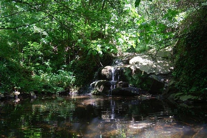Montseny Guided Hiking Tour