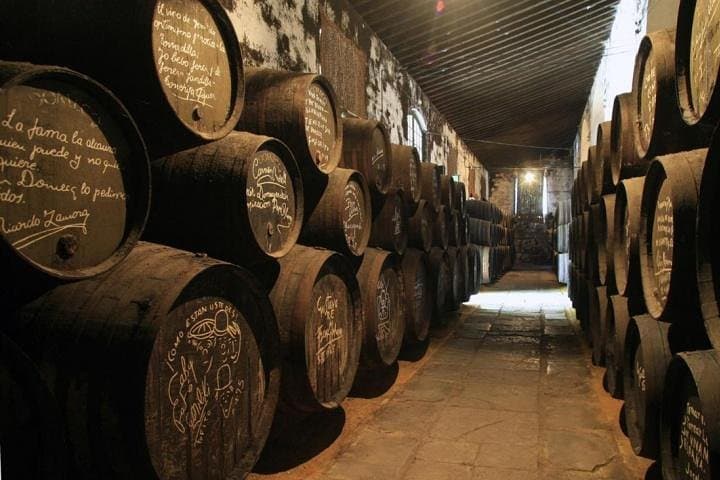 Winery in Jerez