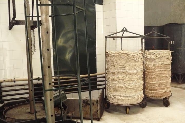 Olive Oil Farm Tour with Tasting from Seville