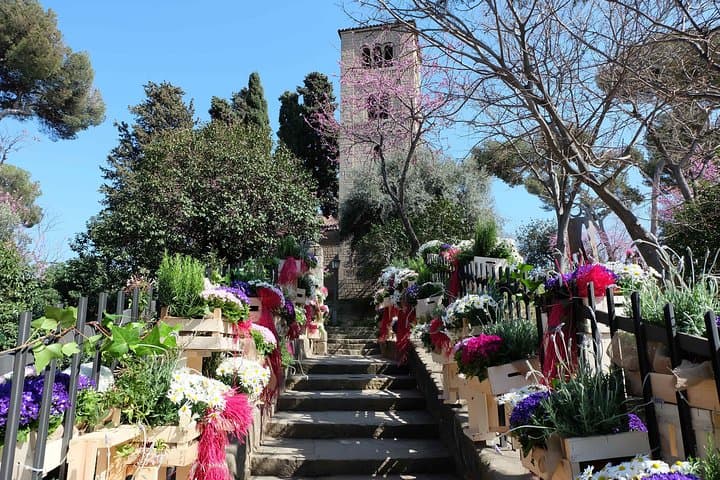 Private Customized Barcelona Tour by Mercedes VIP Bus and Personal Expert Guide