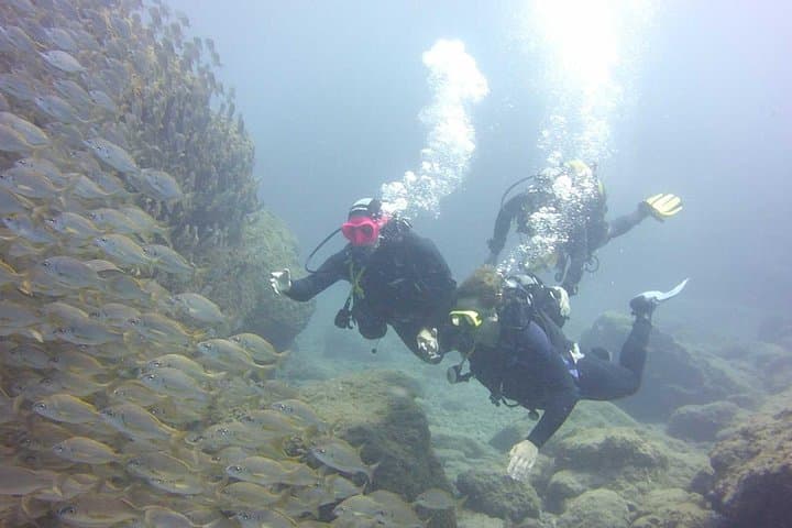 Try Dive at Alcala