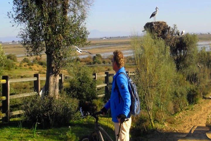 Sevilla Mountain bike tour Dehesa de Abajo Doñana