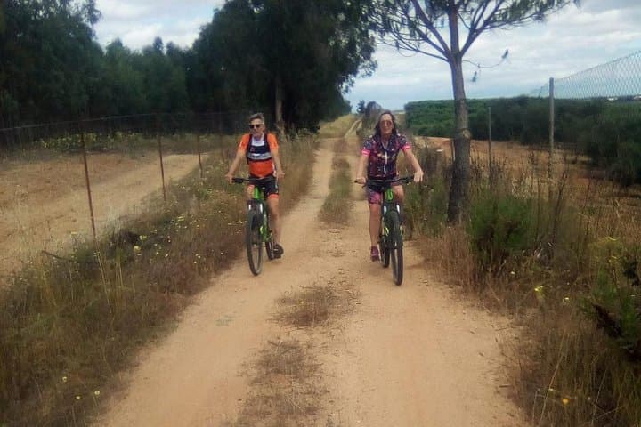 Sevilla Mountain bike tour Dehesa de Abajo Doñana