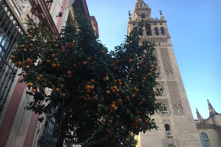 Cathedral and Real Alcàzar in Italian