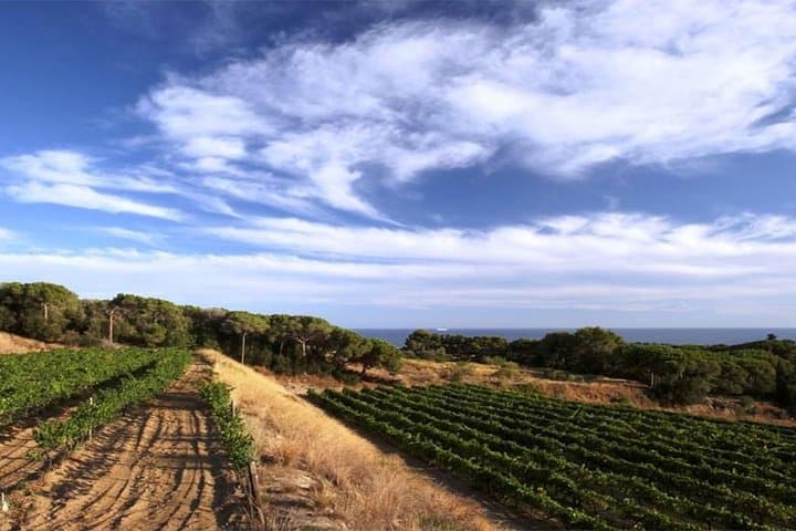 Private Breakfast Winery Experience - Private Wine Tasting Tour