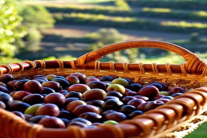 Private Oil Tasting Tour