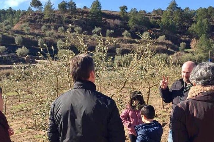 Private Oil Tasting Tour