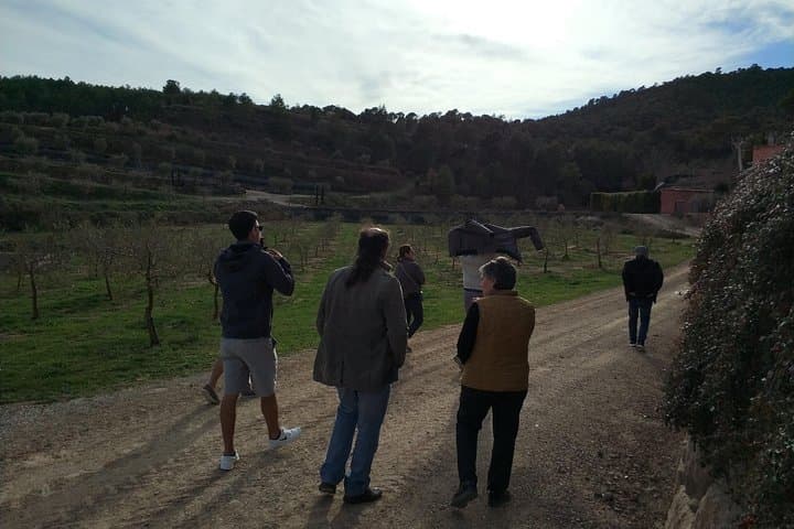 Private Oil Tasting Tour