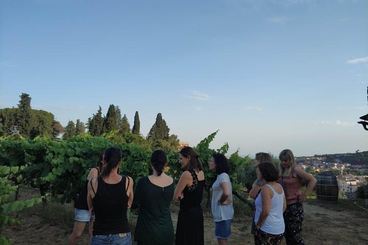 Alella Wine Tasting Private Tour with Picnic Lunch & Hotel Pick