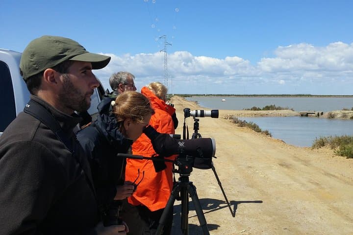 Birdwatchers