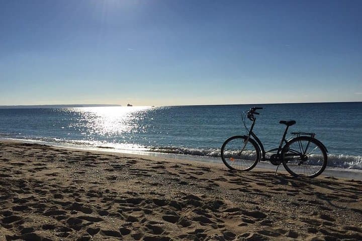 Beach of Palma