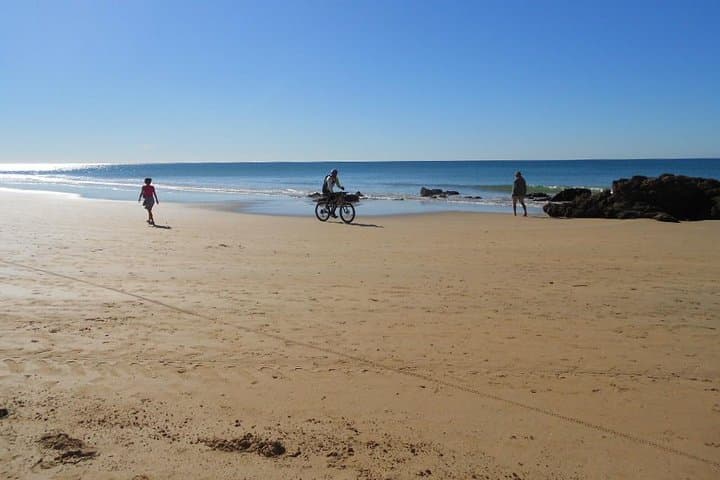 Mountain bike tour Conil de la frontera Wine bike tour