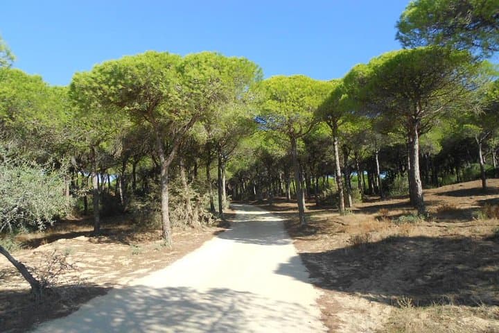 Mountain bike tour Conil de la frontera Wine bike tour