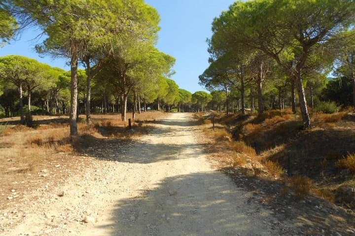 Mountain bike tour Costa de la luz Barbate Zahora