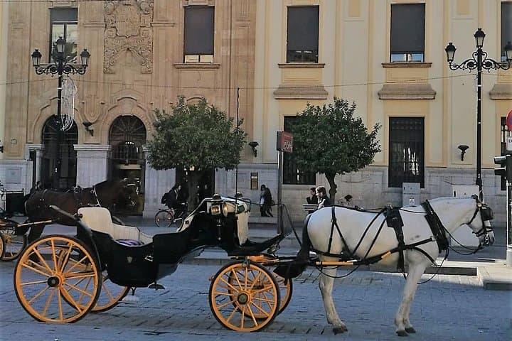 Horse-Drawn Carriage Ride through Seville