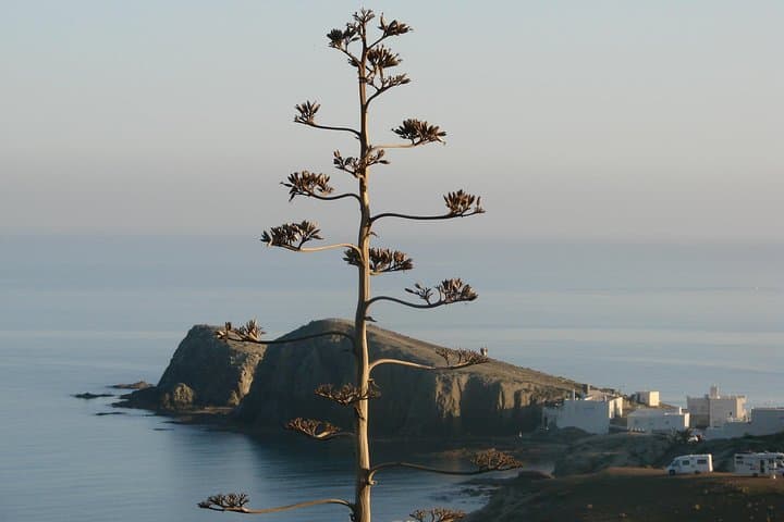 The fishing village of La Isleta del Moro