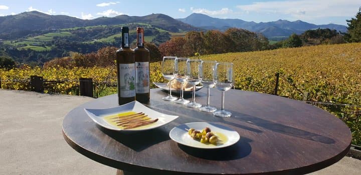 Txakoli winegrowerhttps://media-cdn.tripadvisor.com/media/attractions-splice-spp-720x480/07/03/06/5e.jpg in the field
